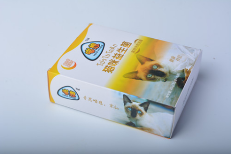 猫咪不吃不喝呕吐?猫咪不吃不喝没精打采呕吐