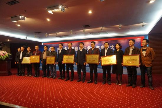 抱团取暖 南宁首家电子商务协会行业协会成立