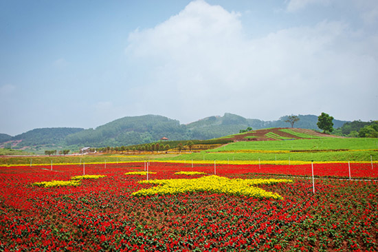 南宁美丽南方已准备好五一节目等你来嗨