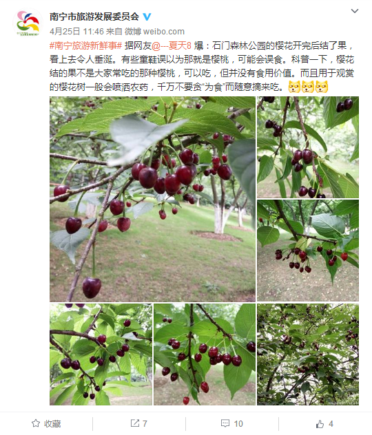 市级旅游局微博影响力榜单出炉 南宁旅发委排