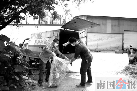 柳州每年数千宠物死掉 宠物身后事岂能一扔了