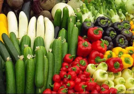 科技农业创新革命,葡萄管家实现农业数字标准