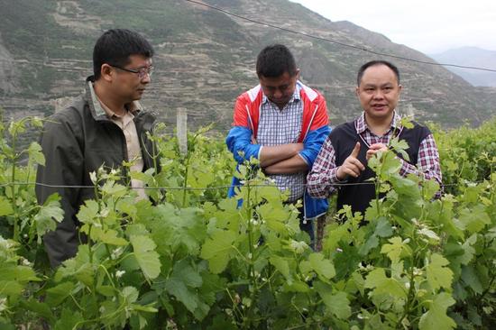 米米乐助力农业电子商务发展服务精准扶贫