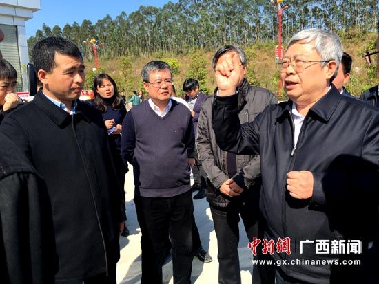 资料图:国家扶贫办党组书记、主任刘永富到老乡家园-上林扶贫移民安置小区项目进行调研。