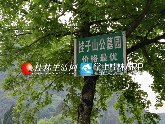 尧山到处都是村民打出的这种售卖墓地的小广告牌,实则不是挂子山公墓的,都是当地村民在售卖村里的山地。