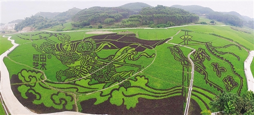 宾阳稻田艺术换新花样 美猴王 变身 仙女 飞天-