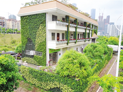 好特别!南宁这个垃圾转运站变身绿色城堡