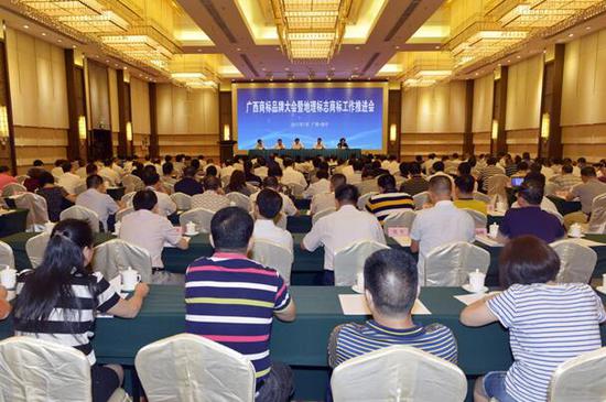 广西商标品牌大会暨地理标志工作推进会现场 杨彪/摄