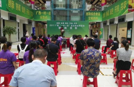 2017广西“一村一品”生态农业博览新闻发布会现场 苏霞/摄