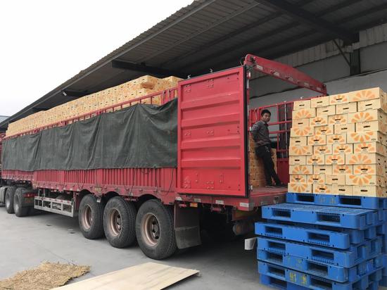 褚橙正在装车