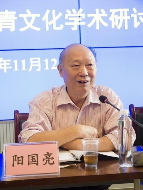 2017年广西知青文化学术研讨会在南宁召开_新