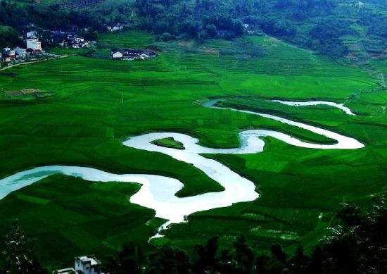 盘阳河曲折蜿蜒,绿树扶岸。 图:广西旅游局