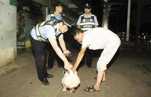 兴宁区民警在街头对犬只进行检查 本报记者 宋延康 摄