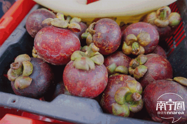 花灯、年货、美食！南宁东站农批 一站式让你配齐了