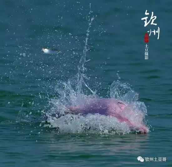 谢勇云 摄