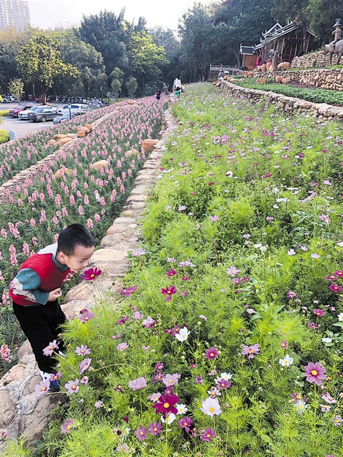闹市中的静谧之处赏花