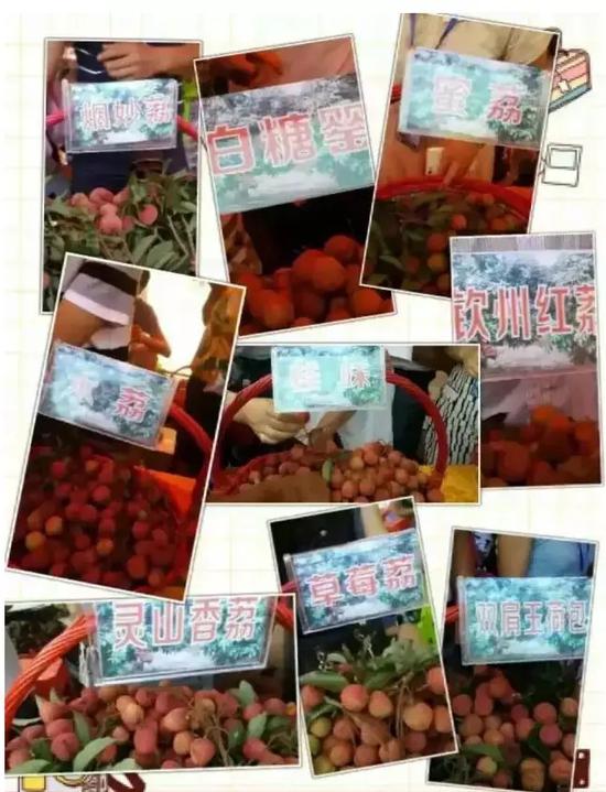 ▲品种丰富的灵山荔枝 来源:灵山家园网