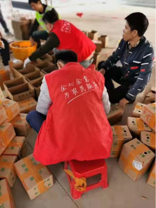 鹿寨乐村淘团队正在现场实操授学