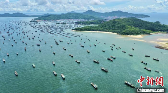 资料图:南海开渔节阳江举行,约1300艘渔船出海。 阳江市海陵岛 供图