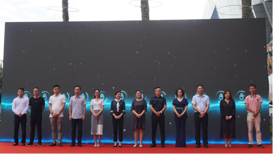 信息发布会启动仪式现场图 卢颖琦/摄
