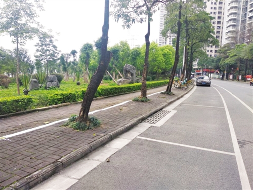 遭砸车窗盗窃的停车泊位
