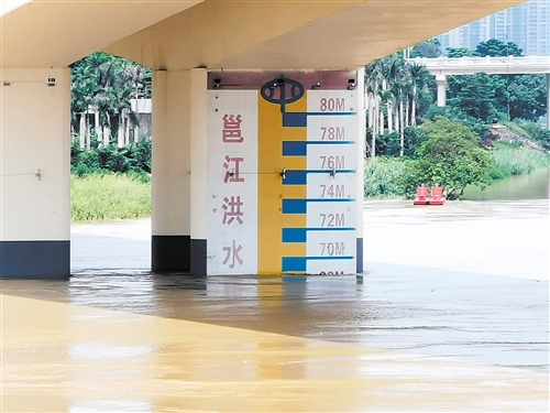 邕江水位上涨