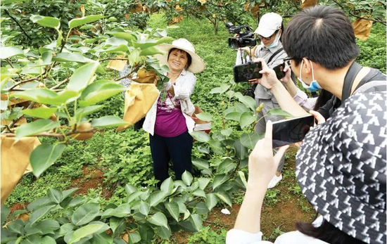 马山县白山镇民族村上局州屯桃李村生态种养专业合作社的果园 程勇可/摄