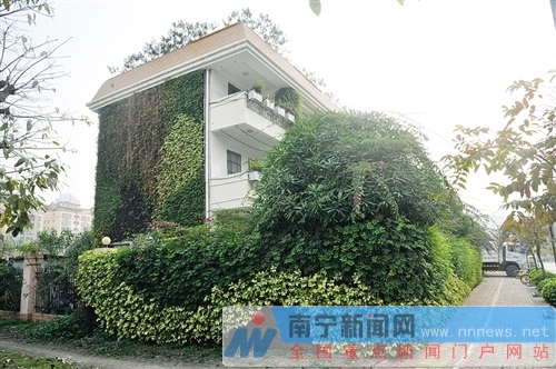 云景路垃圾中转站绿植种上房屋外墙