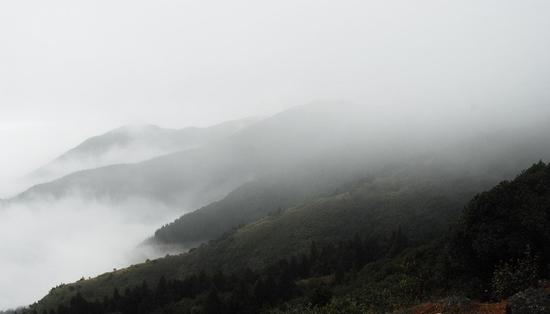 新浪博主:@广西大容山