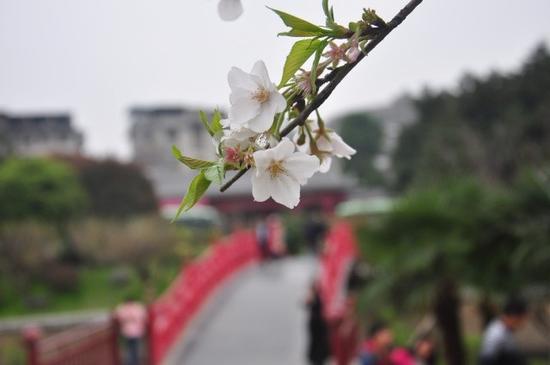 新浪微博:@桂林南溪山景区