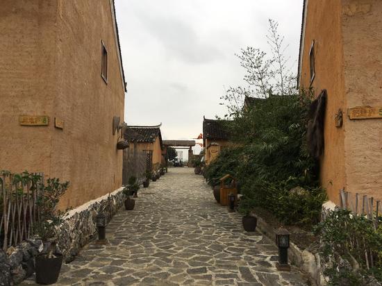 图片来源:蒙艳芳