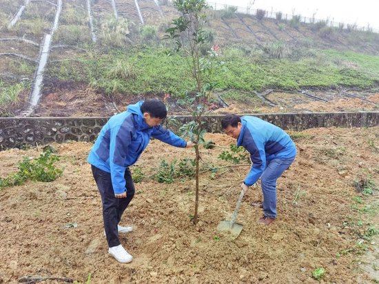 南宁市福彩中心开展植树护绿志愿活动