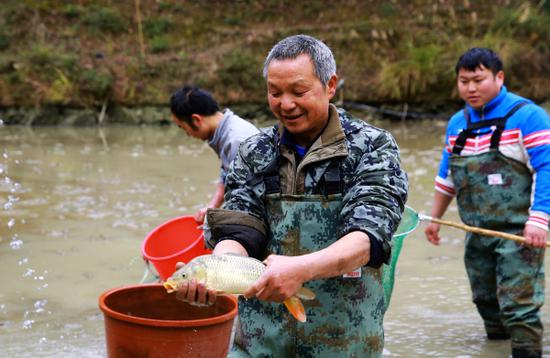 贵州省榕江忠诚镇有多少人口_榕江栽麻镇高硐村(2)