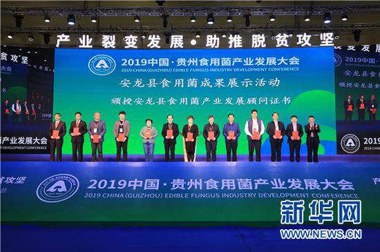 11月15日,安龙县在食用菌成果展示会开幕式现场聘请了一批产业发展顾问。新华网 卢志佳 摄