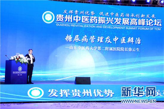 嘉宾作主题报告。新华网 周远钢 摄