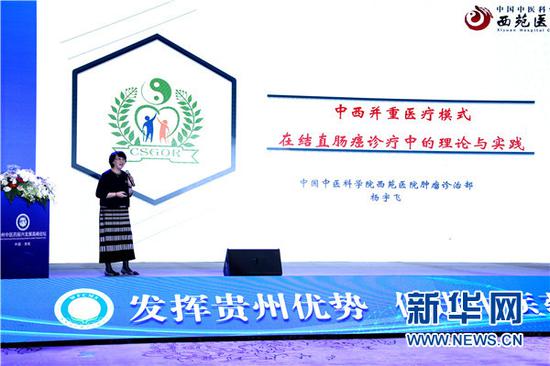 嘉宾作主题报告。新华网 周远钢 摄