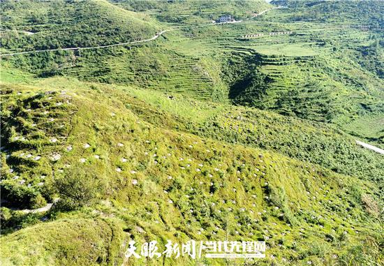 晴隆县有多少人口_贵州省晴隆县照片(2)