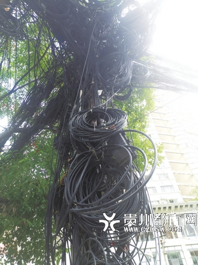 电线杆上一卷乱如麻的线缆