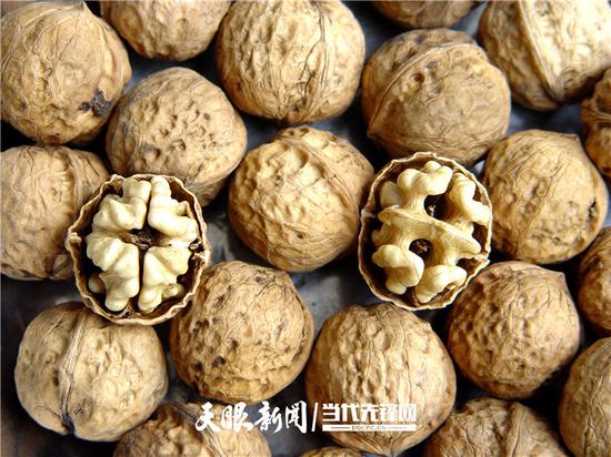 赫章县获得奥运推荐果品的黔核7号核桃
