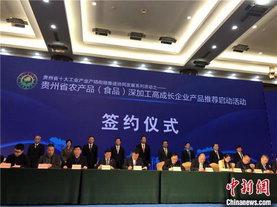 图为现场签约 杨茜 摄