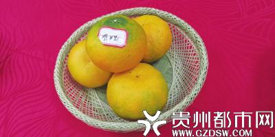售价30多元一个的橘子。