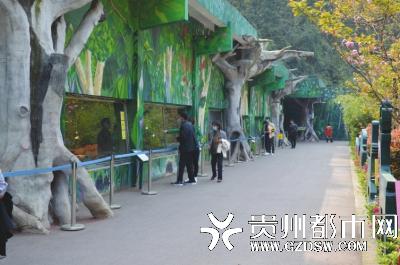 动物园的游客并不多。