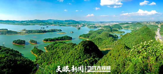 秀美红枫