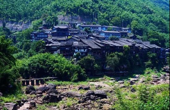 图/ 采采卷耳
