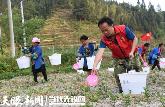九秋村驻村干部与村民们一起农耕