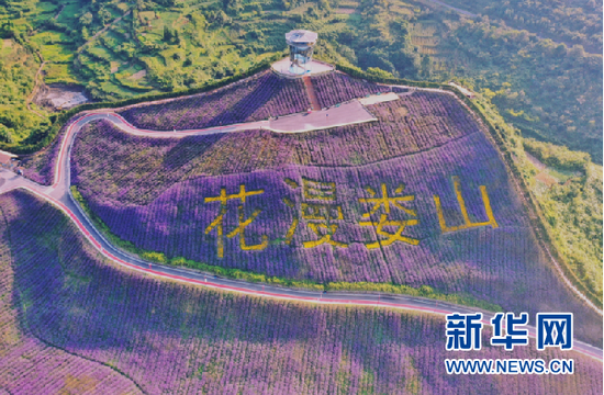 遵义市桐梓县高桥镇多少人口_遵义市桐梓县乡镇地图