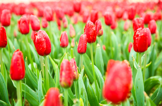 �����ݸ��ܴ�ů���� 2019���ݴ����ͻ�������ʽ����