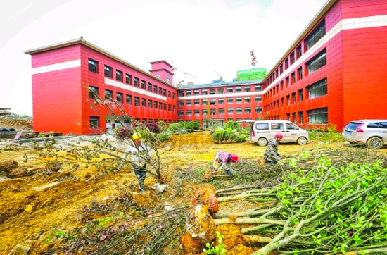 工人在贵州师范大学贵安新区附属高中项目现场进行外围绿化施工。