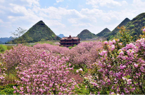 贵州醇景区:兴义的后花园和会客厅