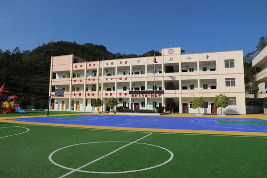 苎麻林小学